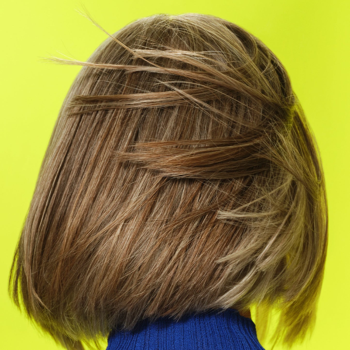 frizz-to-rizz-trio-c3 111725_Vicky_HumidityAntifrizz-Editorial_0538_w2QC_IGF_1x1_05a09617-4ccf-44a2-8545-199321a503e1.jpg