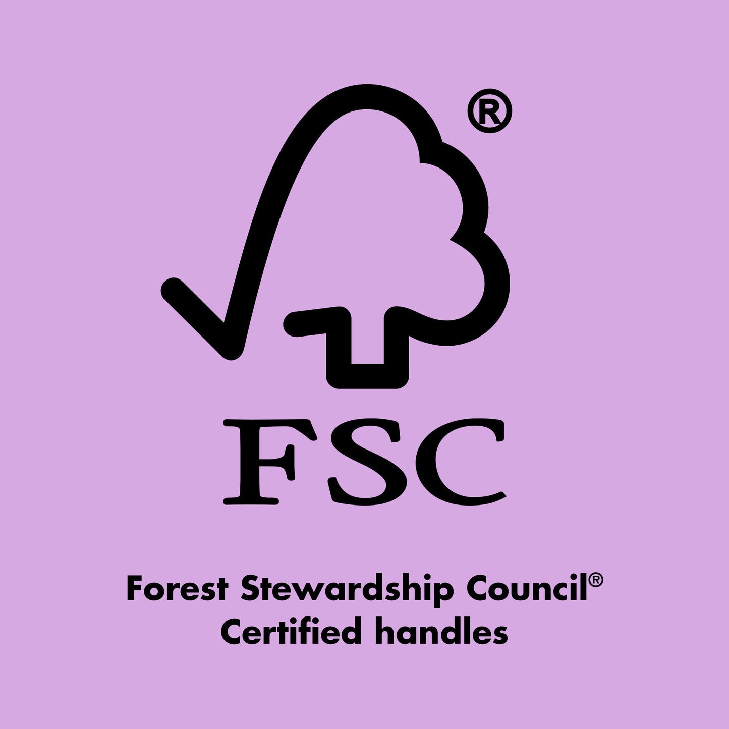 ten-out-of-ten-brush-kit-d2 0423_EDUCATION_FSC_EVERGREEN.jpg
