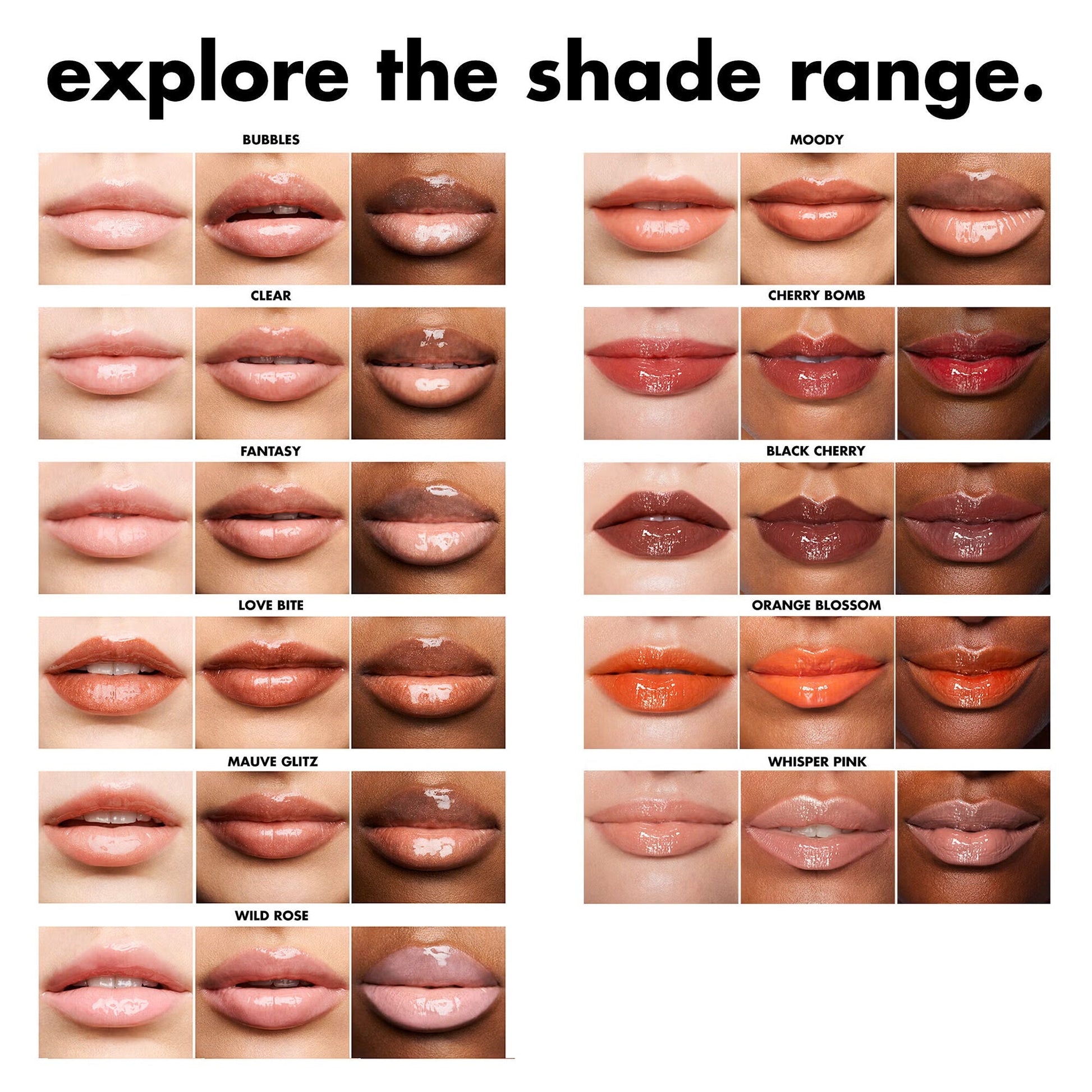 lip-lacquer-e1 0426_EDU_LipLaquer_ShadeChartFull.jpg