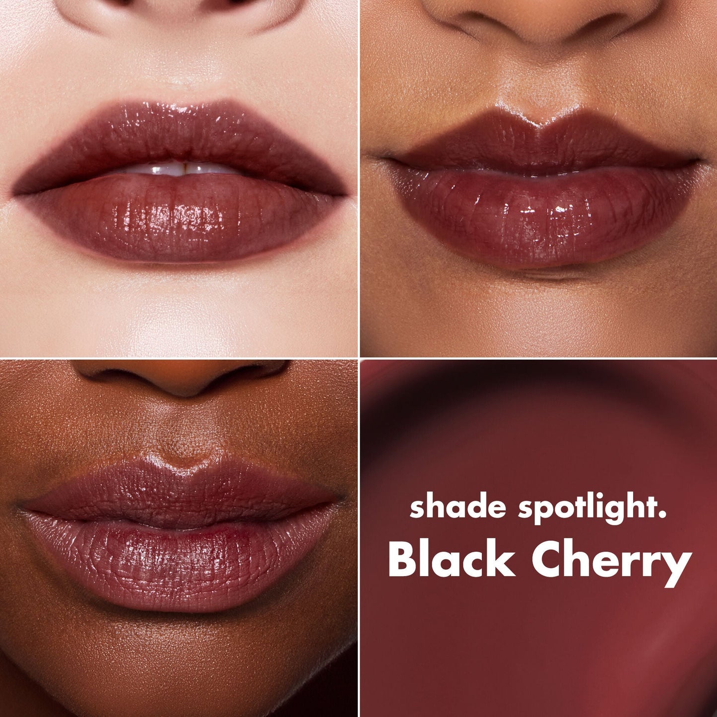 lip-lacquer-e1 0426_EDU_LipLaquer_ShadeChart_BlackCherry.jpg