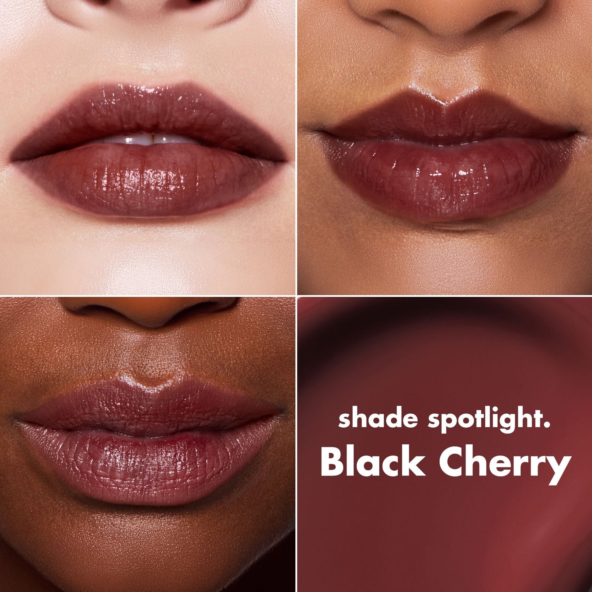 lip-lacquer-e1 0426_EDU_LipLaquer_ShadeChart_BlackCherry.jpg