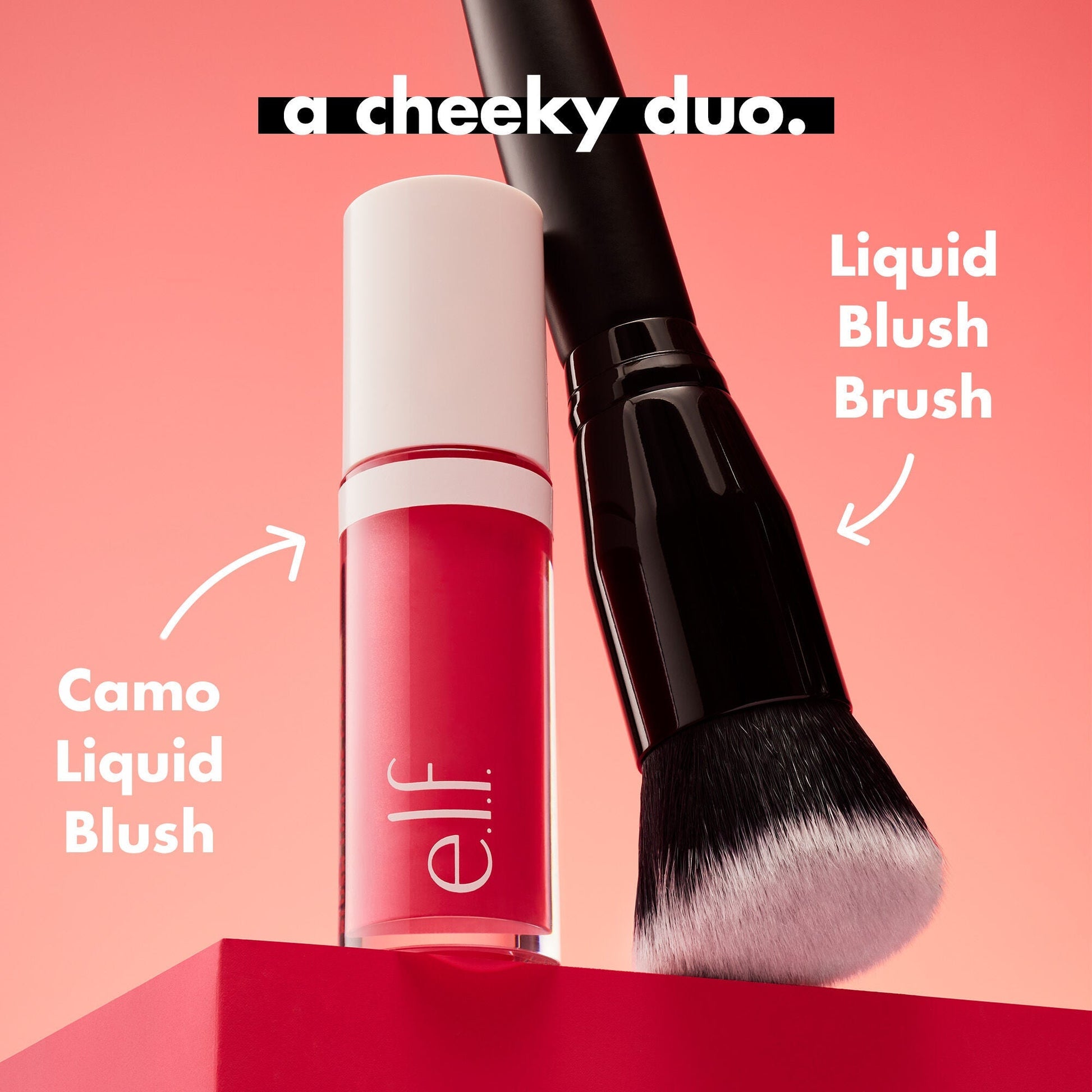 dew-it-up-blush-kit-c9 1023_PDP_NEWARRIVALS_LIQUIDBLUSHBRUSH_PAIRING_19beb62a-7e2e-4efb-907e-2c05aeffb953.jpg